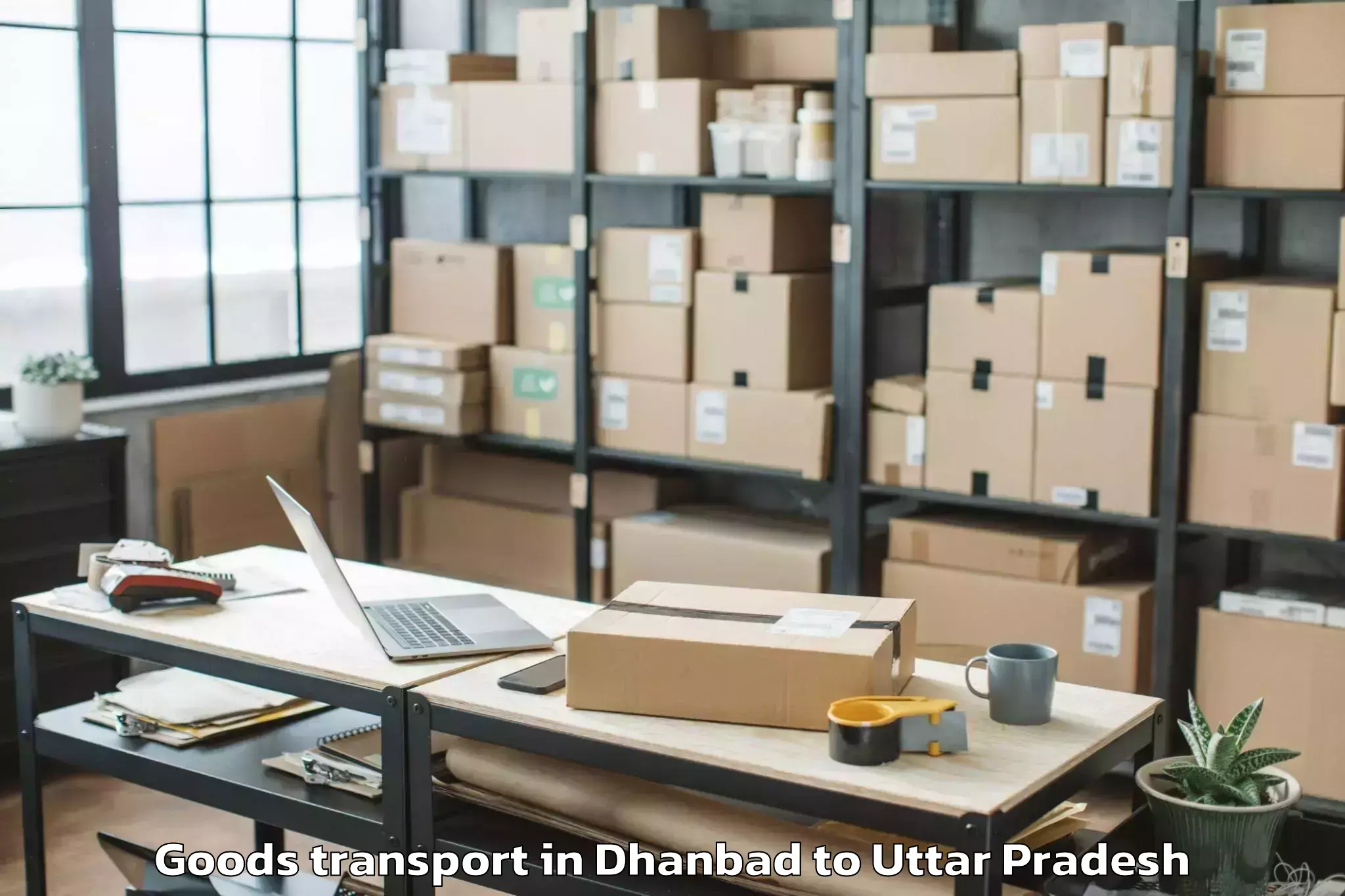 Book Dhanbad to Siddharth University Kapilvast Goods Transport